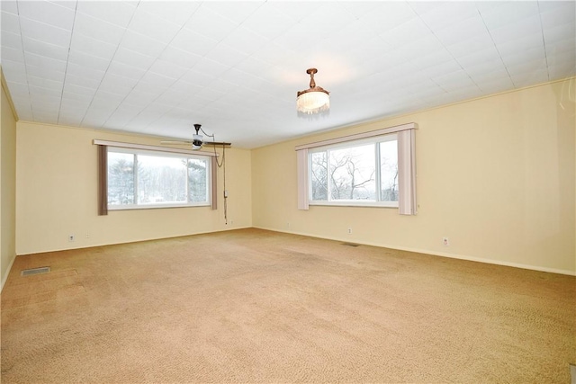 spare room with carpet floors