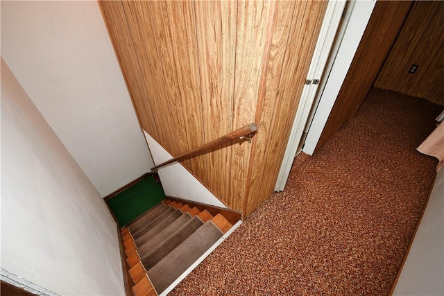 staircase featuring carpet and wood walls