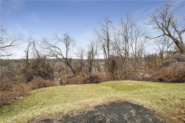 view of yard with a rural view