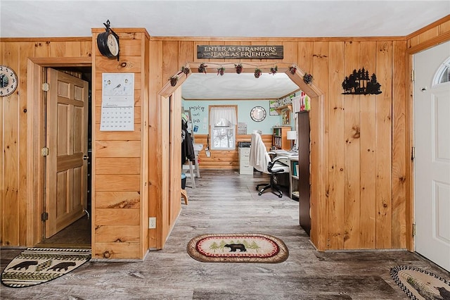 interior space with dark hardwood / wood-style floors, wood walls, and ornamental molding