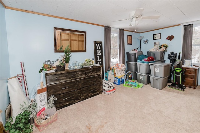 interior space with carpet, plenty of natural light, and crown molding