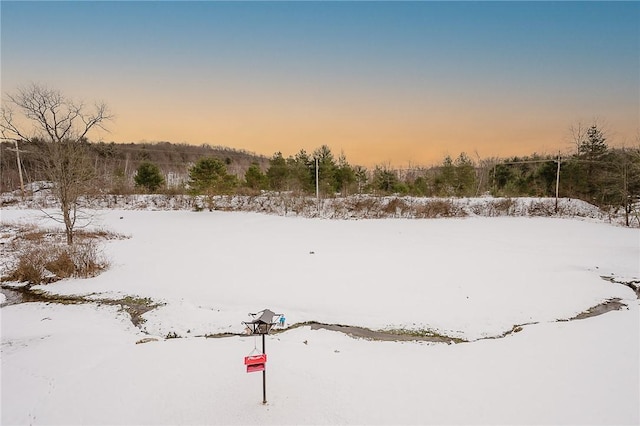 view of snowy yard