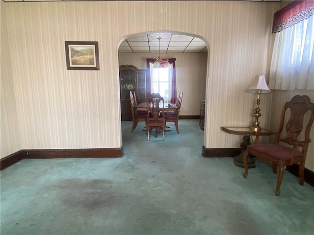 sitting room featuring carpet flooring