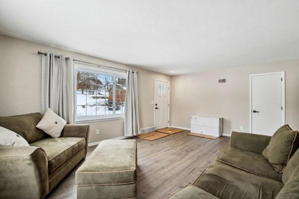 living room with light wood-type flooring