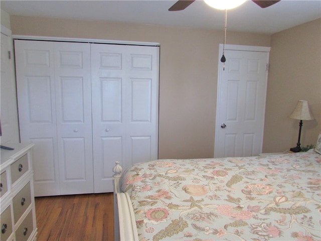 bedroom featuring ceiling fan and dark hardwood / wood-style flooring