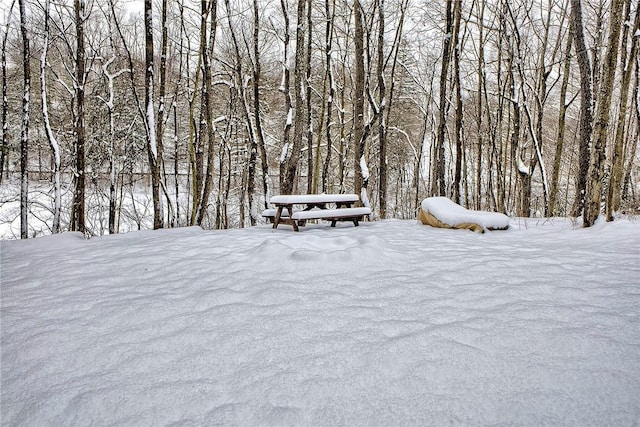 view of yard covered in snow