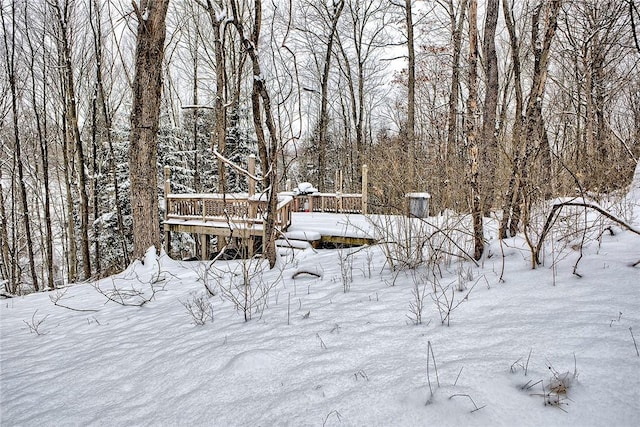 view of yard layered in snow