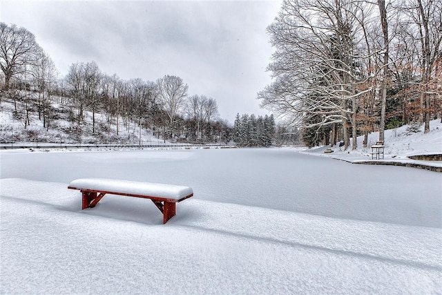 view of yard covered in snow