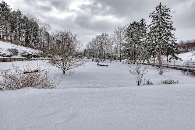 view of yard layered in snow