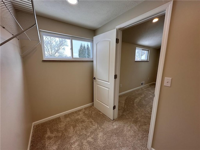 hall featuring carpet floors, a textured ceiling, and a wealth of natural light