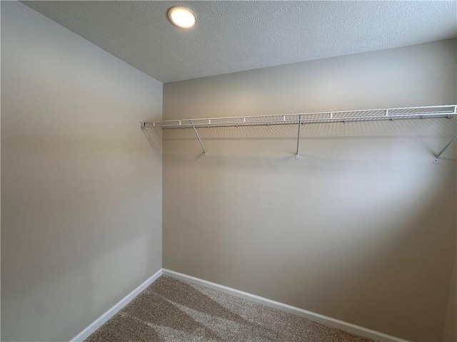 walk in closet with carpet floors