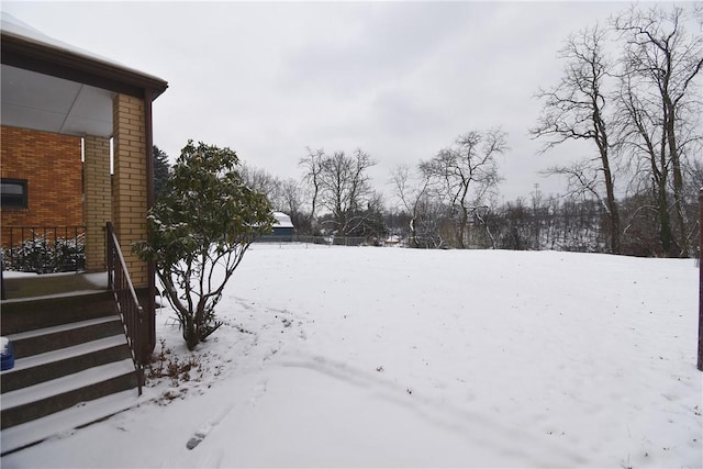 view of yard covered in snow