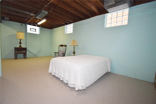 bedroom with carpet