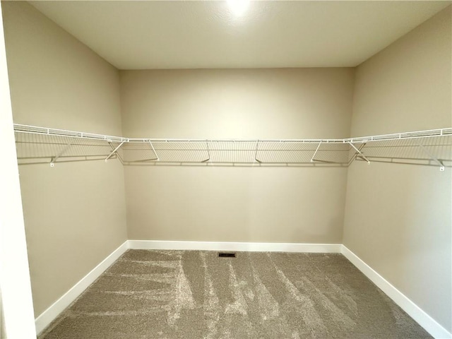 spacious closet with carpet