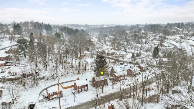 view of snowy aerial view