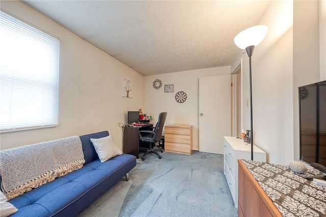 office space featuring a textured ceiling and light colored carpet