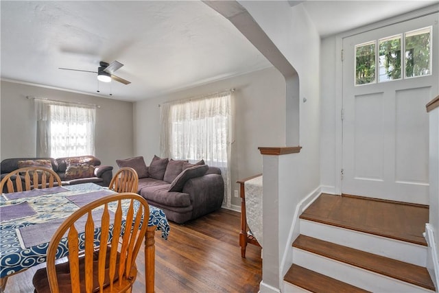 living room featuring ceiling fan and dark wood-type flooring