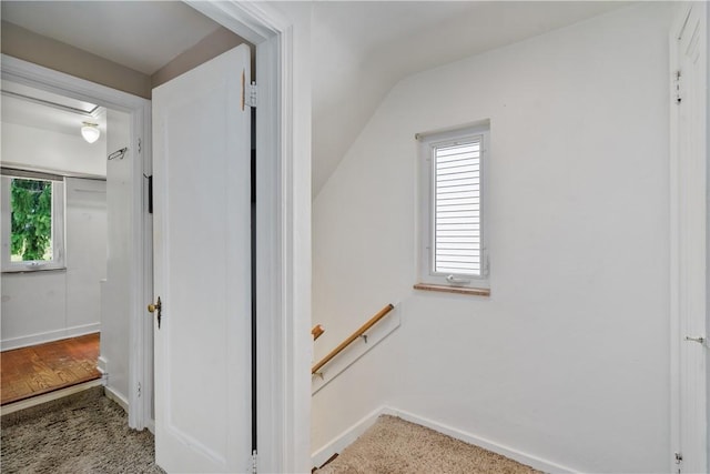 stairs featuring carpet and vaulted ceiling