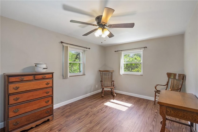 living area featuring ceiling fan and wood-type flooring