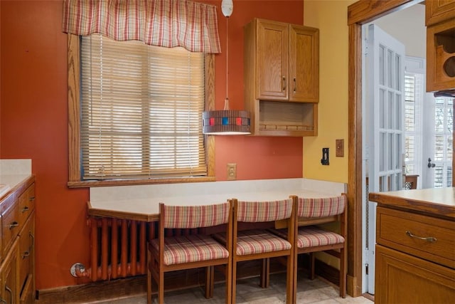 dining room featuring radiator