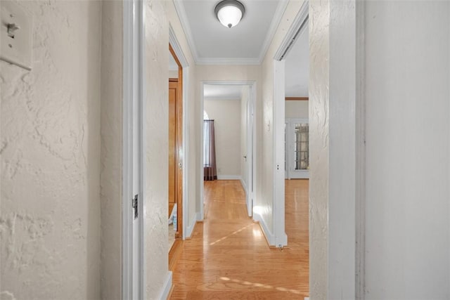 hall with ornamental molding and light wood-type flooring