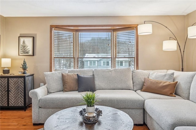 living room featuring hardwood / wood-style floors