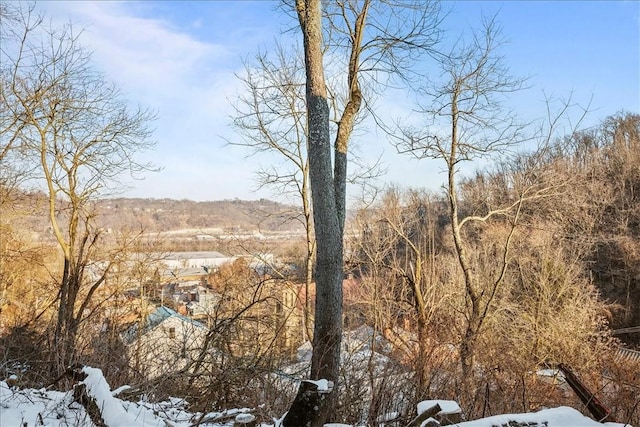 view of snowy landscape