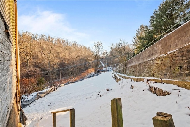 view of snowy yard