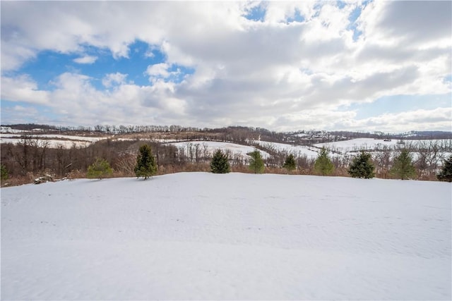 view of yard layered in snow