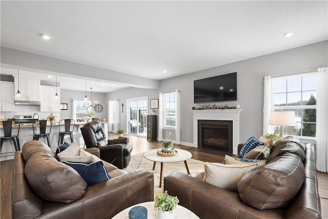 living room featuring wood-type flooring