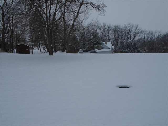 view of yard covered in snow