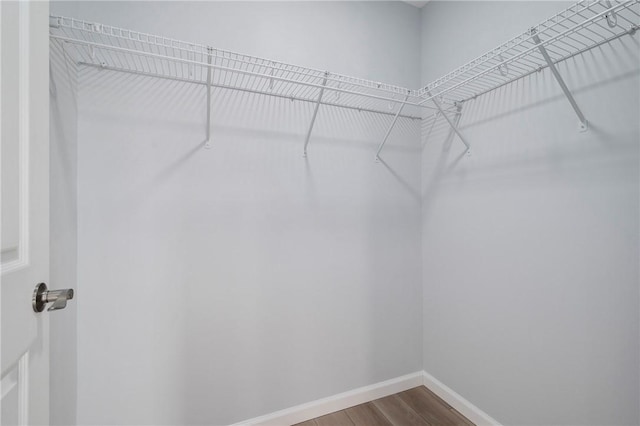 walk in closet featuring hardwood / wood-style flooring