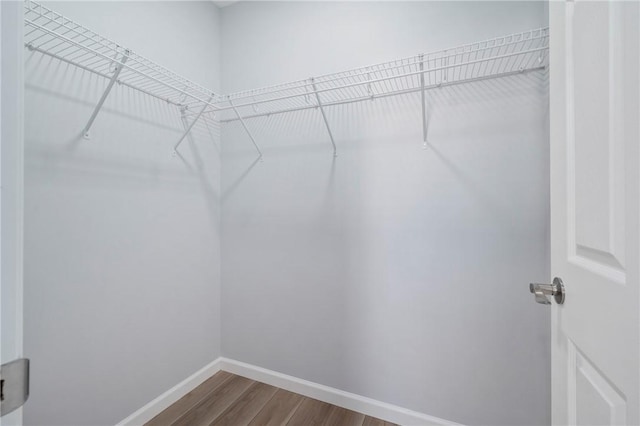 spacious closet featuring hardwood / wood-style floors