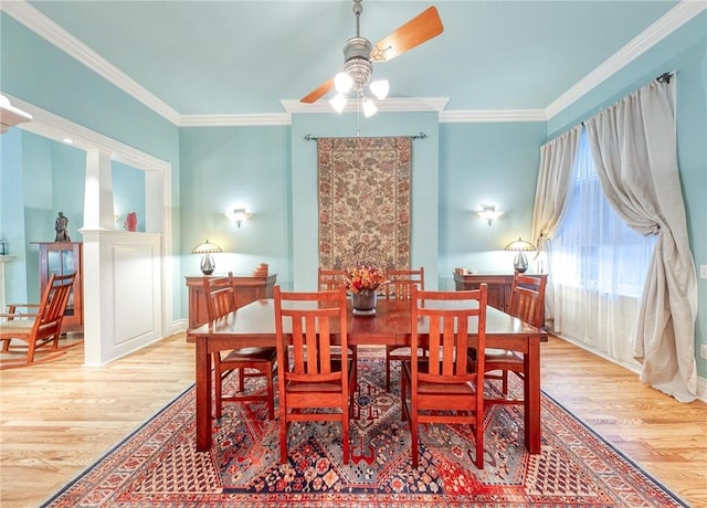 dining area featuring crown molding, light hardwood / wood-style flooring, and ceiling fan