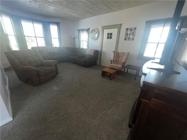 living room featuring carpet floors and a textured ceiling