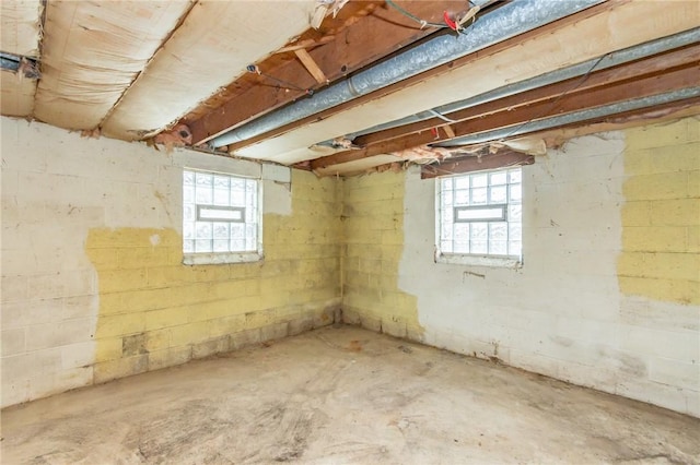 basement with a wealth of natural light