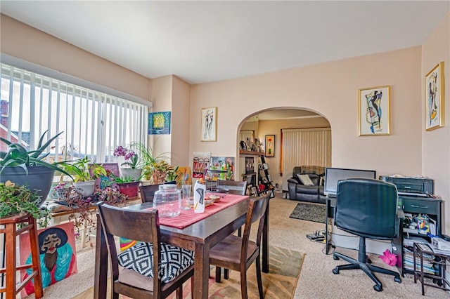 dining area with carpet floors