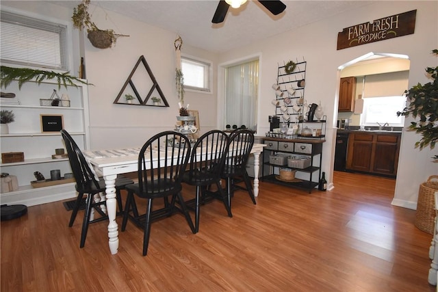 dining area featuring ceiling fan, sink, and light wood-type flooring