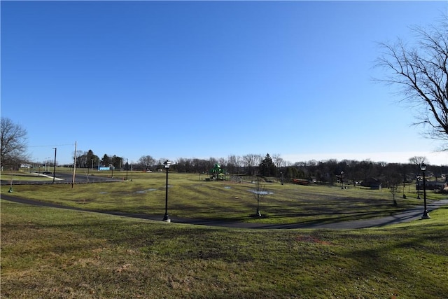 view of property's community with a yard