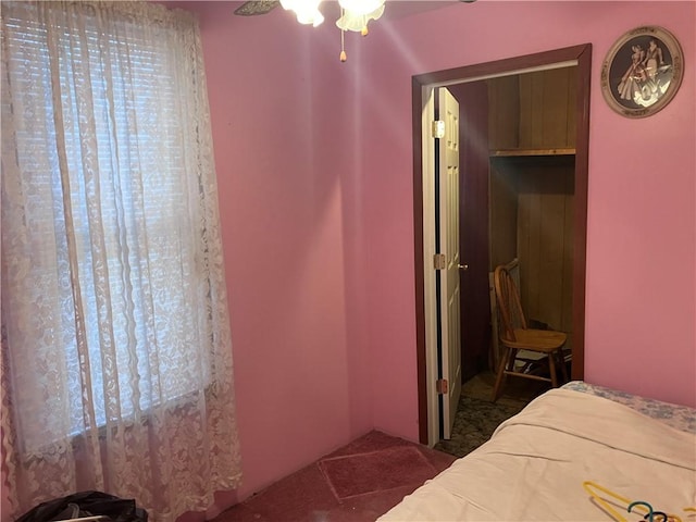 bedroom featuring ceiling fan, a spacious closet, and a closet