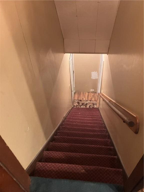 staircase featuring carpet floors