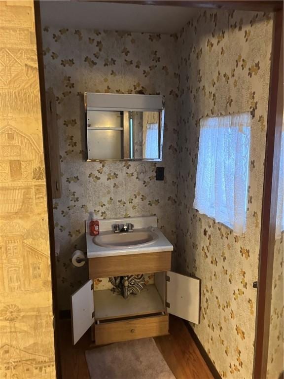 bathroom featuring vanity and wood-type flooring