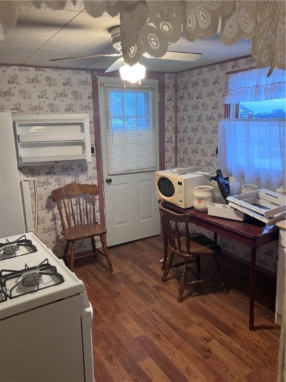 office area with dark hardwood / wood-style floors and ceiling fan