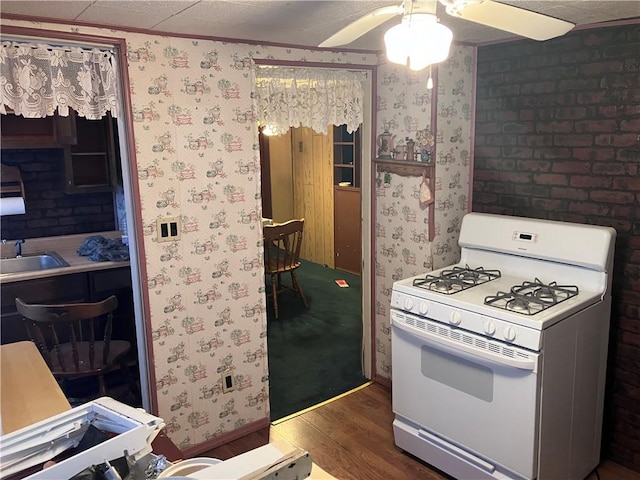 kitchen with crown molding, sink, dark hardwood / wood-style floors, ceiling fan, and gas range gas stove