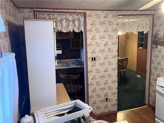 interior space with hardwood / wood-style flooring, crown molding, and sink