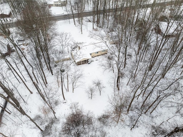 view of snowy aerial view