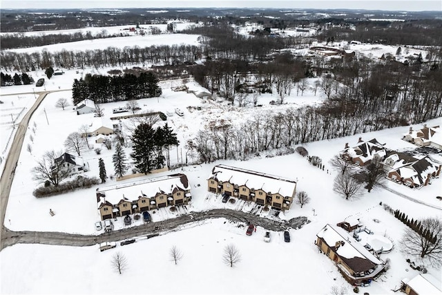 view of snowy aerial view