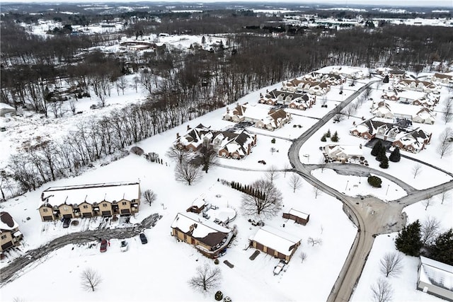 view of snowy aerial view