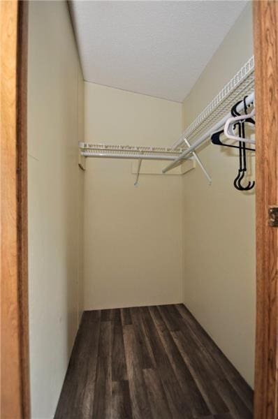 walk in closet with dark wood-type flooring