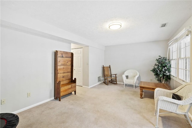 sitting room with a textured ceiling and light carpet